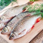 how to choose fresh fish