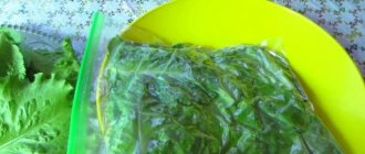 Салатные листья на хранение