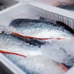 Способы заморозки рыбы